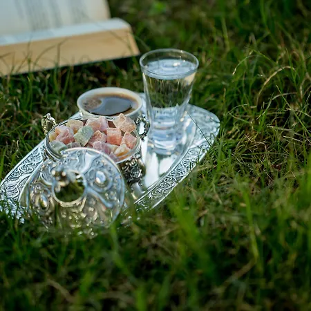 Nefes فندق 3*