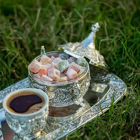 Nefes فندق 3*